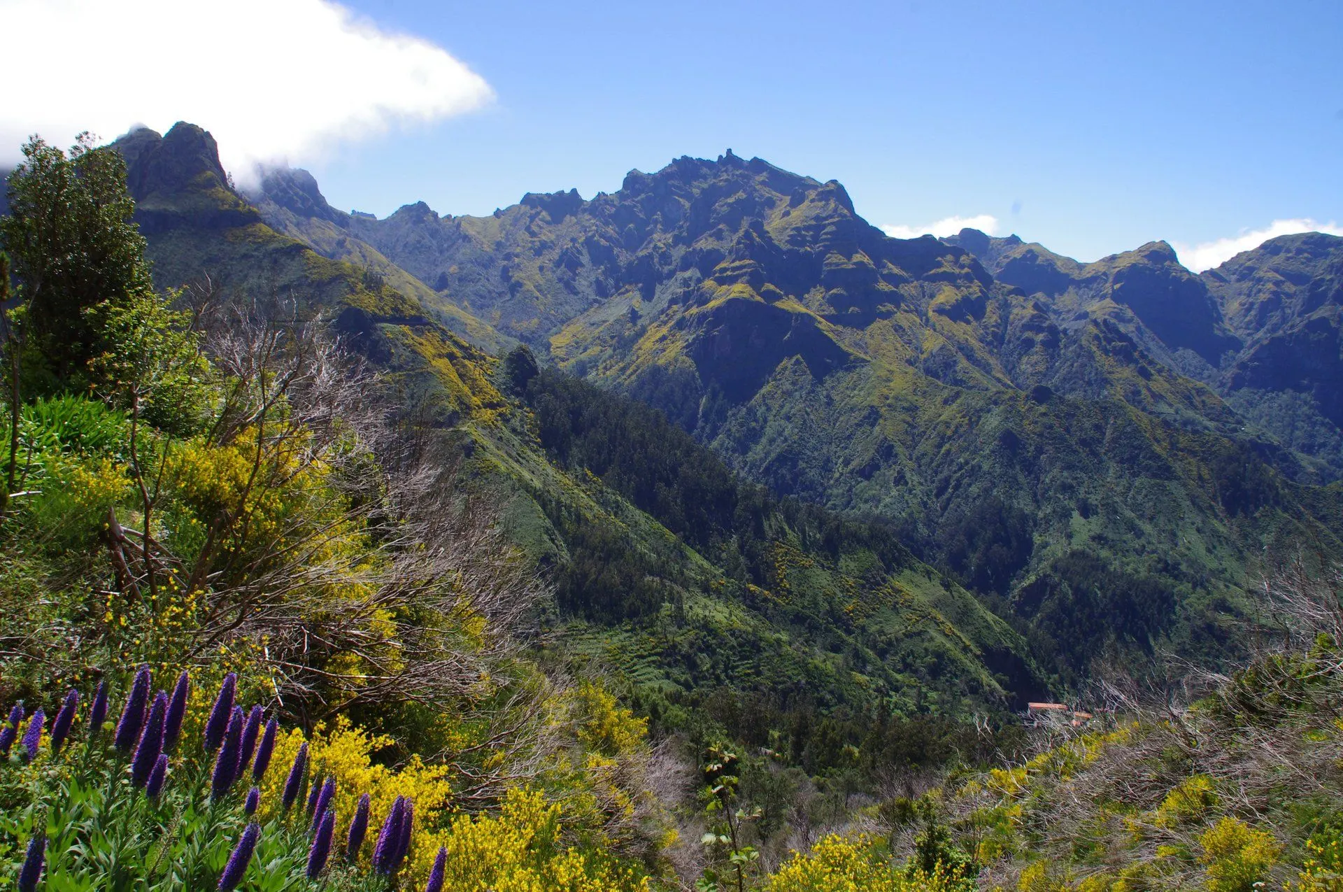 The mountains in the island's heart